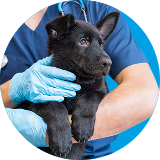 icon Kies uw cadeaukaart